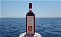 Zlatan otok d.o.o. </p>  vinarija plenković - marina bilo idro - restoran bilo idro 13