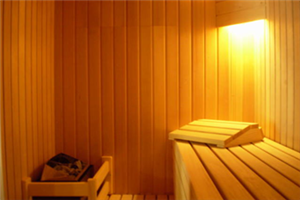 DOM-EL d.o.o. ASSEMBLY AND MANUFACTURE OF FINNISH SAUNA, INFRARED CABIN AND STEAM BATH