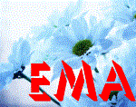 EMA obrt za proizvodnju i prodaju cvijeća, vl. Ivana Štefulj Efendić logo