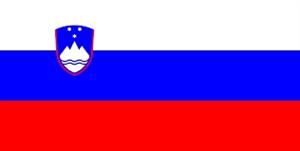 LITTERA d.o.o. Škola stranih jezika TRANSLATOR FOR SLOVENIAN